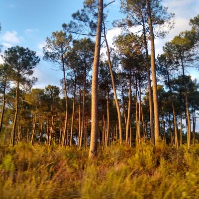 Img 20211008 185335065 Hdr